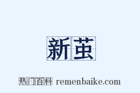 新茧是什么意思的图片